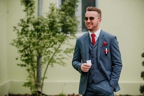 Free picture: beard, mustache, man, portrait, fancy, hairstyle, tuxedo ...