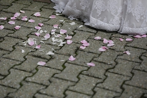 petals, pinkish, walkway, pavement, patio, wedding dress, surface, texture, urban, street