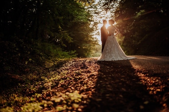 just married, bride, groom, forest road, sunset, structure, dawn, tree, landscape, light