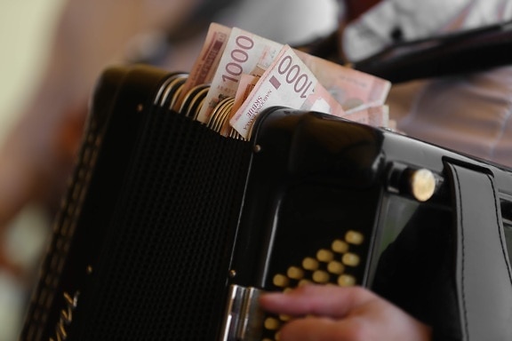 Serbian dinar, banknote, cash, paper money, music, money, musician, entertainment, accordion, people, business, indoors