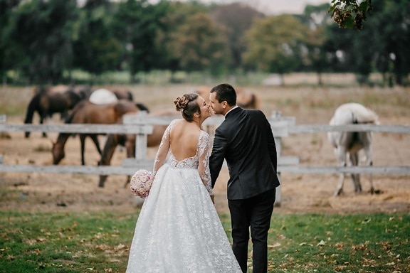bride, just married, groom, countryside, village, horses, married, wedding, dress, couple