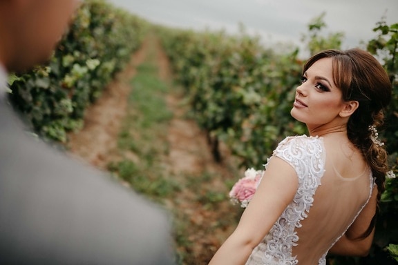 young woman, orchard, vineyard, bride, attractive, woman, wedding, nature, pretty, portrait