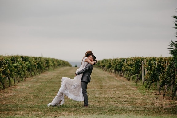 man, holding, girlfriend, vineyard, field, love, grass, girl, landscape, people