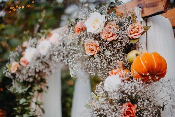 salle de mariage, saison de l'automne, jardin fleuri, citrouille, bouquet, décoration, feuille, fleur, à l’extérieur, jardin