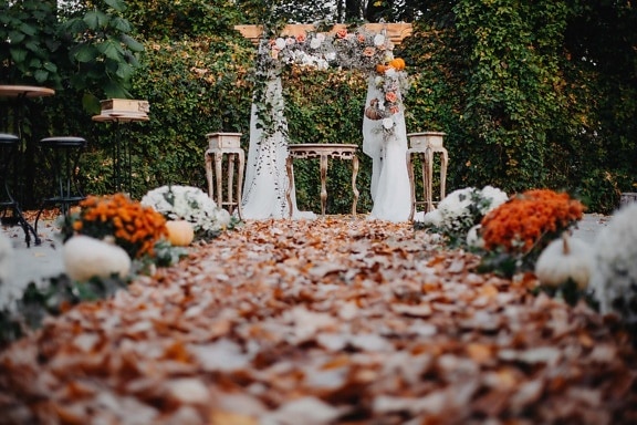 wedding venue, wedding, empty, backyard, walkway, leaves, autumn season, garden, flower, leaf