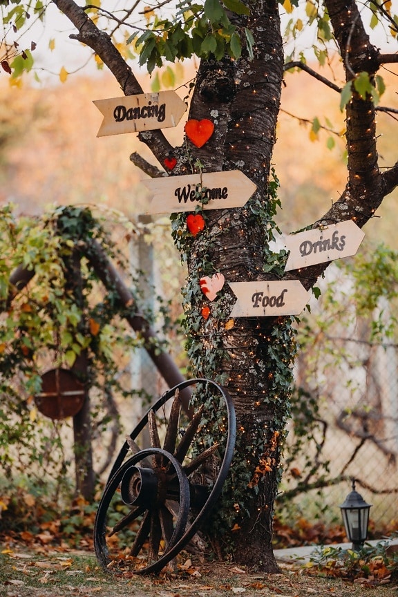 välkommen, pilen, tecken, kärlek, romantiska, trädgård, träd, Utomhus, blad, naturen