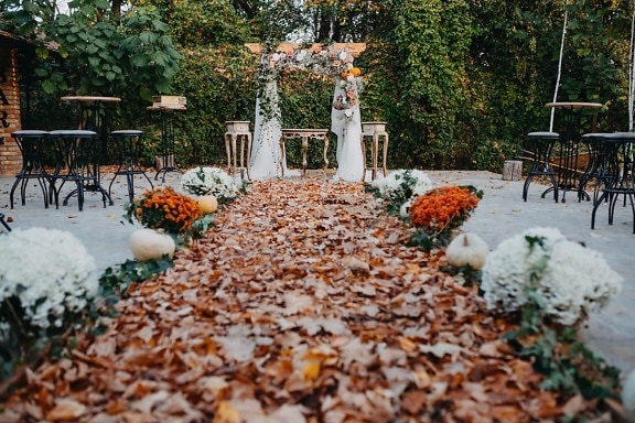 wedding venue, decoration, walkway, yellow leaves, autumn, autumn season, brown, garden, leaf, flower