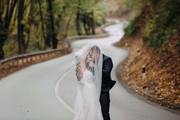 асфалт, младоженци, горски път, сватба, булката, път, улица, мъгла, природата, на открито