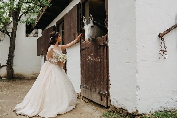 ranch, bride, farmhouse, barn, horse, wedding dress, village, dress, wedding, portrait