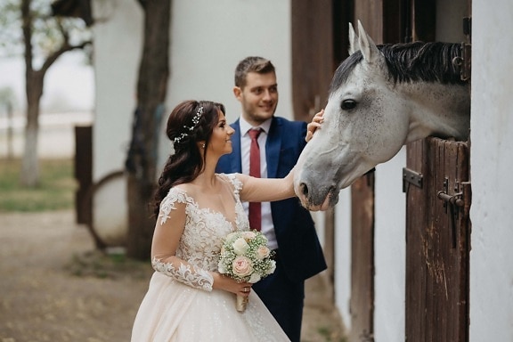 la mariée, les terres agricoles, Ranch, jeune marié, cheval, ferme, bouquet, robe, mariage, portrait