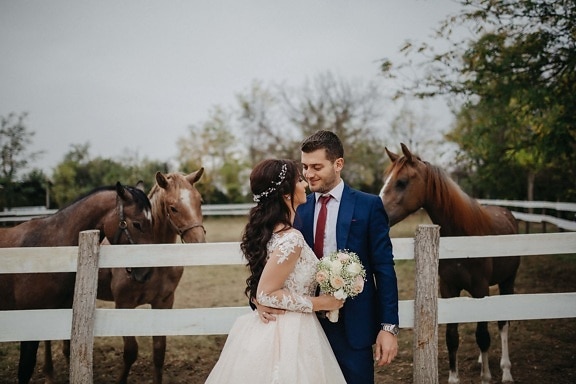 ранчото, младоженец, току-що женени, сватбена рокля, булката, добитък, място за сватба, земеделска земя, коне, селски