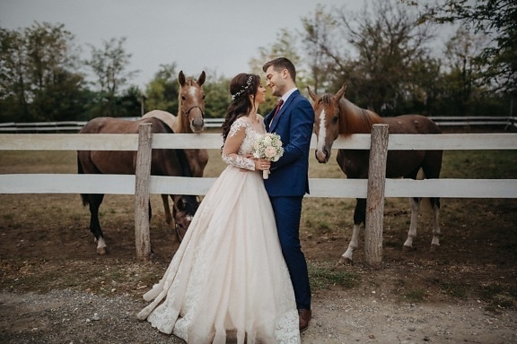 bruden, jordbruksområder, bryllupsarena, bonden, hester, ranch, brudgommen, par, gift, bryllup