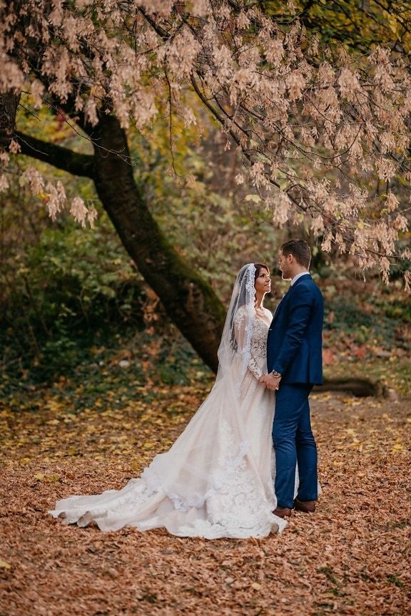 la mariée, debout, jeune marié, saison de l'automne, arbre, branches, main dans la main, forêt, mariage, jeune fille