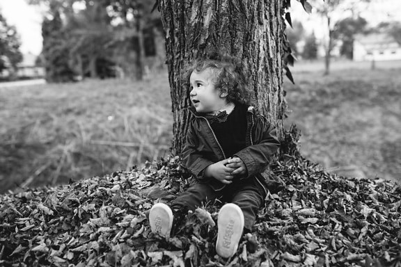 toddler, monochrome, black and white, autumn season, people, hay, child, boy, portrait, nature