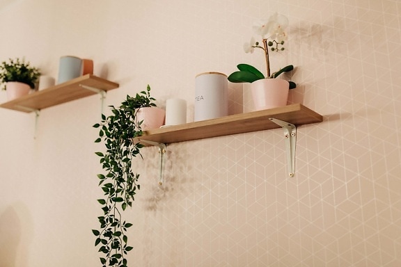 parede, prateleira, vaso de flor, orquídea, elegante, em miniatura, minimalismo, casa, design de interiores, Casa