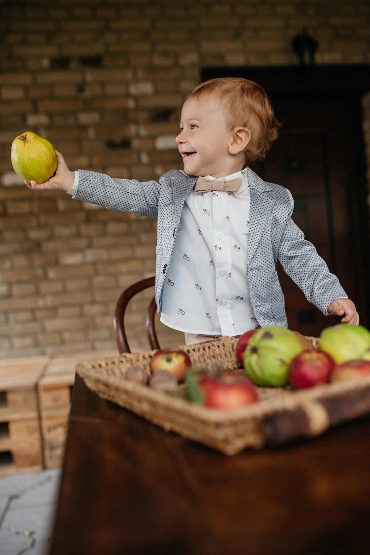 lapsi, poika, taapero, nuori, rusetti, smokki puku, herrasmies, hedelmät, omenat, omena