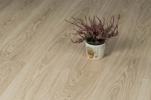 floor, hardwood, light brown, flowerpot, parquet, wood, leaf, interior design, wooden, flower