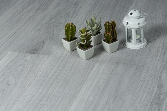 minimalism, elegant, miniature, flowerpot, lamp, cactus, flora, leaf, decoration, retro