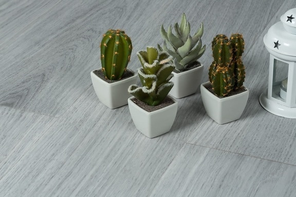 minimalism, interior design, miniature, interior decoration, flowerpot, elegant, cactus, detail, design, floor