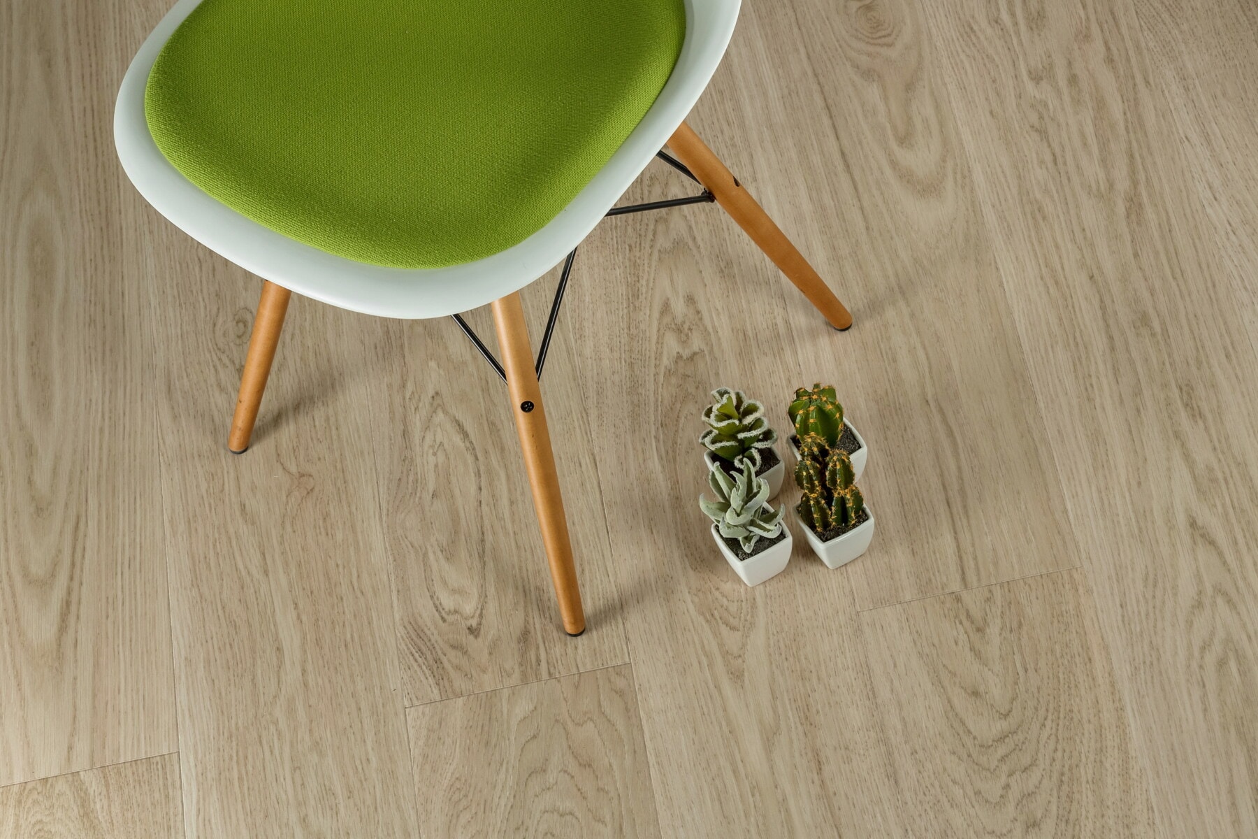 floor, chair, comfortable, photo studio, room, minimalism, miniature, cactus, flowerpot, wood