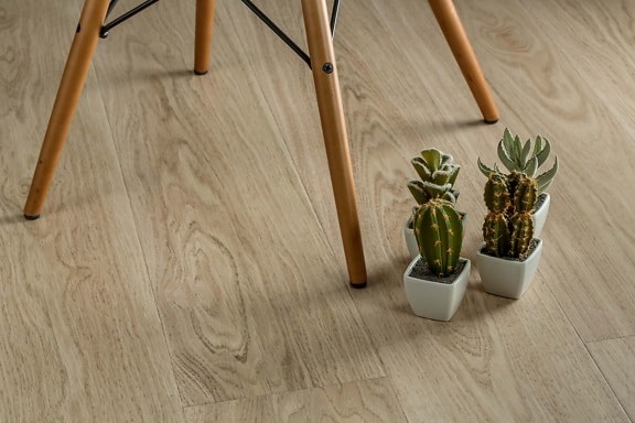 miniature, cactus, flowerpot, minimalism, chair, floor, style, parquet, wood, wooden