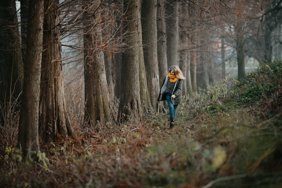 young woman, winter, forest path, alone, walking, fog, hillside, wood, girl, tree