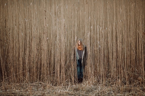 standing, young woman, blonde, agriculture, field, grass, high, rural, autumn season, wood