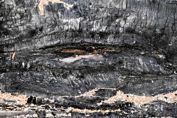 burn, dark, black, texture, surface, wood, ash, coal, nature, pattern
