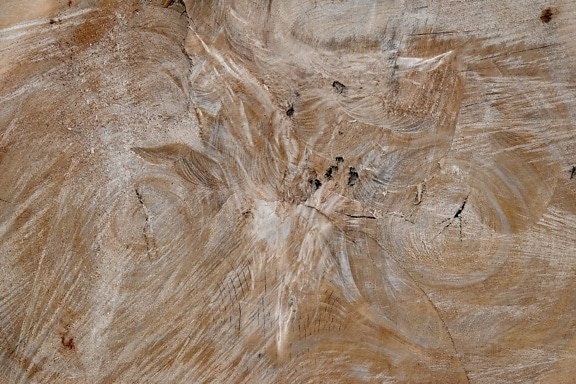 knot, wood, cross section, light brown, big, texture, nature, rough, pattern, old
