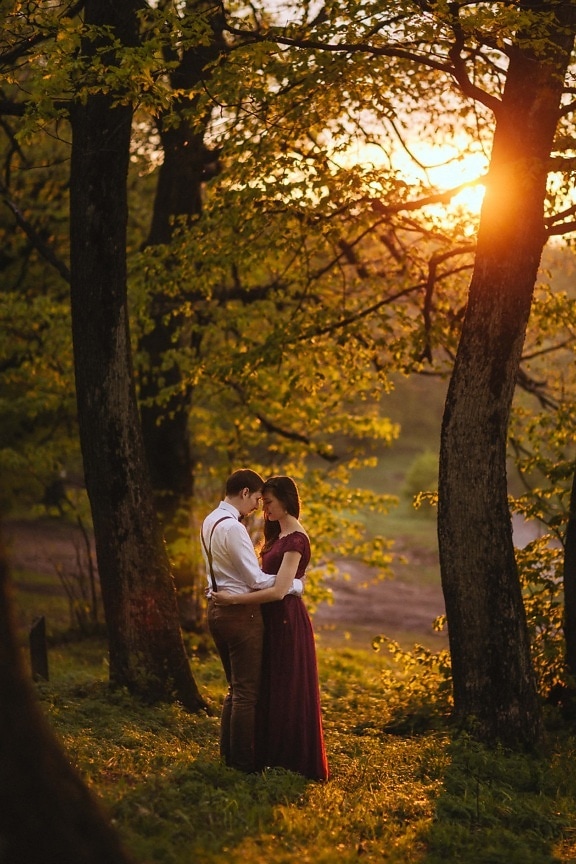 embrace, emotion, hugging, boyfriend, young woman, passion, love, sunrise, sunrays, forest road