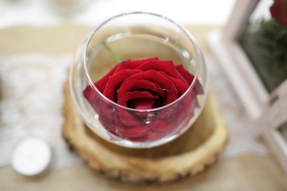 червен, Роза, стъкло, сфера, ваза, романтика, цвете, дървен материал, натюрморт, закрито