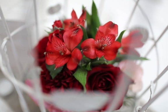 blommor, eleganta, blomkruka, kronblad, röd, arrangemang, naturen, blomma, dekoration, romantik