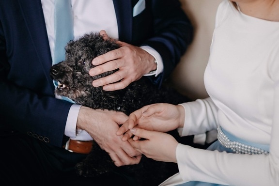 dog, hairy, curl, man, woman, holding hands, love, togetherness, affection, people