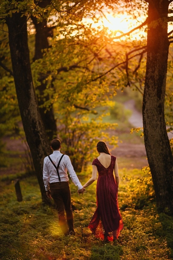 petit ami, petite amie, sentier de la forêt, une randonnée, coucher de soleil, rétro-éclairé, feuille, automne, forêt, arbre