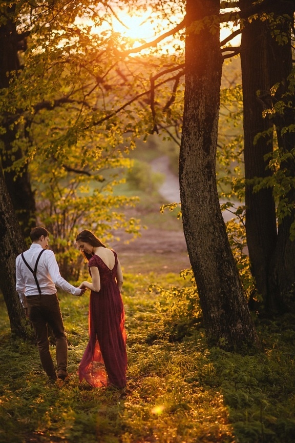 caminhando, romântico, namorado, namorada, trilha da floresta, pôr do sol, árvore, parque, árvores, amarelo