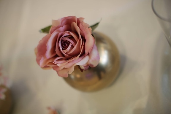 roz, trandafir, pastel, elegant, fata de masa, strălucire aurie, castron, masa, floare, trandafiri