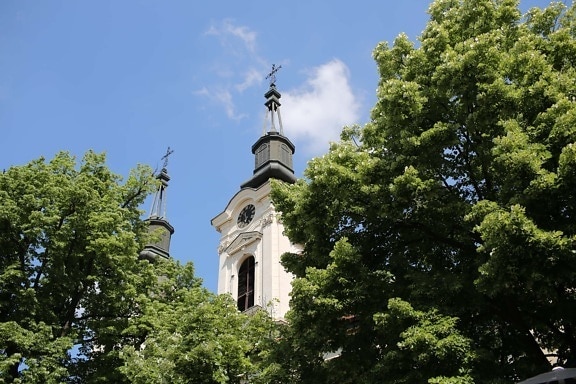 monastery, orthodox, church tower, church, branches, trees, building, dome, religion, cross