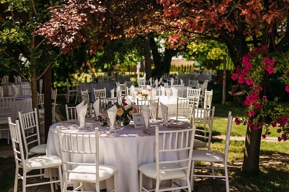 garden, park, wedding venue, elegant, vintage, backyard, chair, luxury, furniture, outdoors