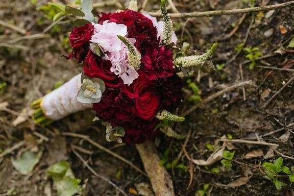 bouquet, wedding bouquet, dark red, roses, flower, herb, plant, leaf, rose, flora