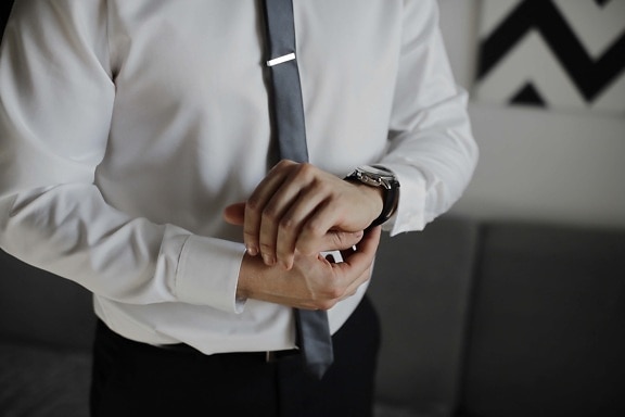 wristwatch, luxury, analog clock, manager, outfit, man, business, indoors, success, intelligence