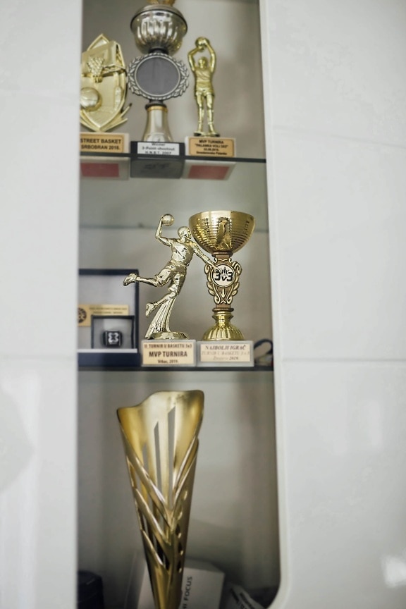 sports trophy, memorabilia, award, sculpture, achievement, sport, golden shine, bronze, figurine, indoors, interior design