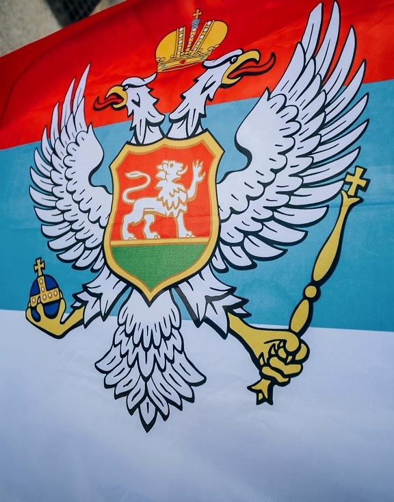 Servië, adelaar, heraldiek, schild, illustratie, embleem, vlag, patriottisme, ontwerp, ridder