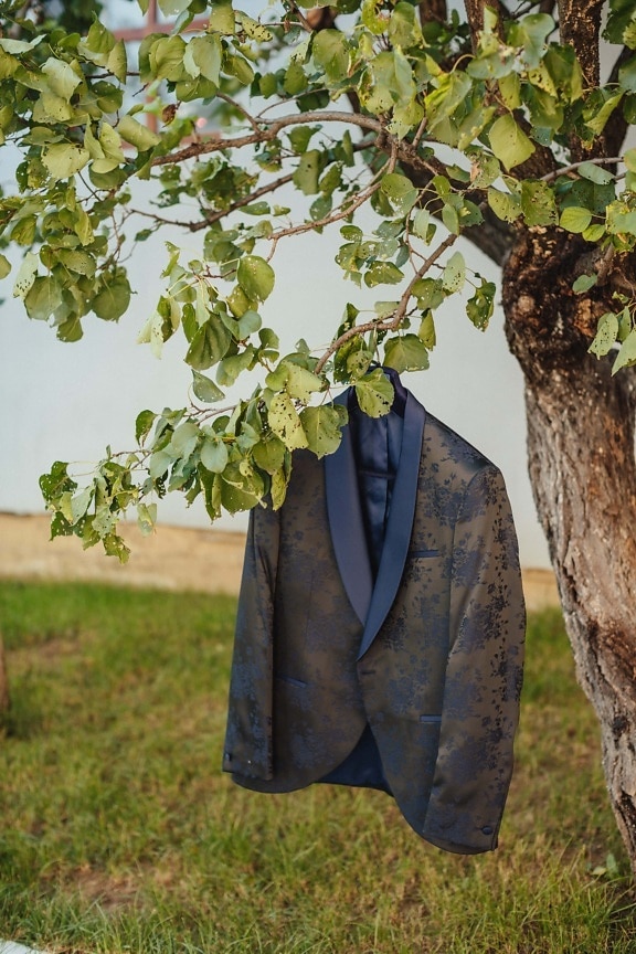 jacket, silk, hanging, trees, leaf, nature, tree, outdoors, wood, flora