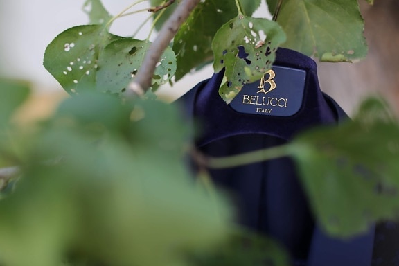 Belucci, italian, tuxedo suit, jacket, fancy, style, hanging, tree, leaf, outdoors
