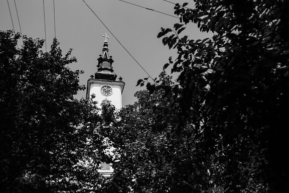 church tower, trees, branches, architecture, religion, tower, church, building, monochrome, silhouette