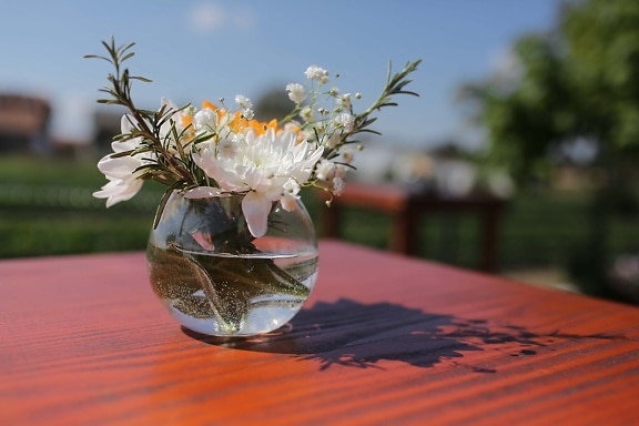 bowl, round, crystal, vase, rosemary, water, flowers, nature, flower, still life