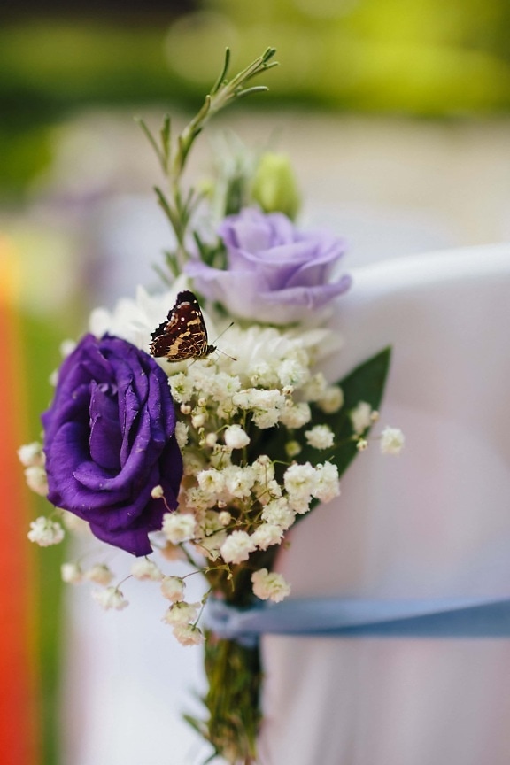 wedding bouquet, butterfly, decoration, purple, rose, flower, bouquet, wedding, flowers, blur