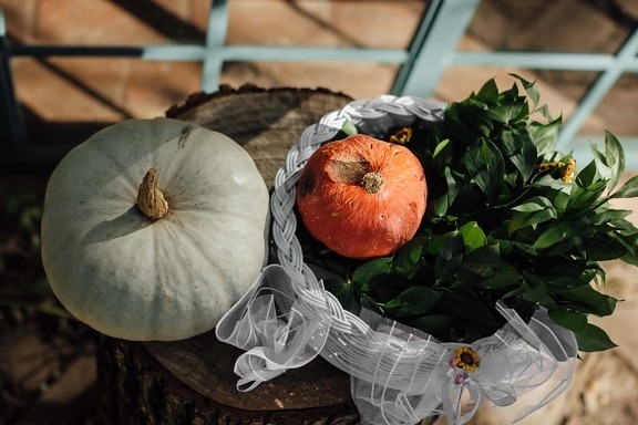 pumpkin, decoration, still life, autumn season, wicker basket, vintage, autumn, squash, vegetable, produce