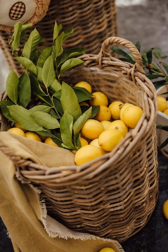 organic, lemon, wicker basket, marketplace, products, merchandise, basket, citrus, produce, fruit