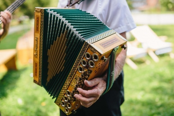 accordion, baroque, golden shine, decorative, ornament, performer, music, musician, melody, outdoors